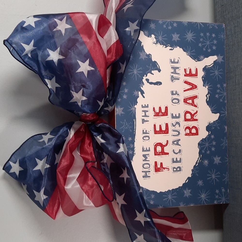 Patriotic American USA Sign Wall Art Sheer Red White Blue Ribbon Bow Set